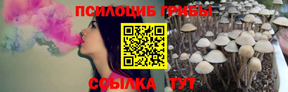 Псилоцибиновые грибы Psilocybe  Галлюциногенные грибы ЛСД  Крымск  Вход с VPN 